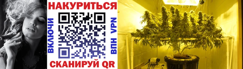 Купить наркотики Пушкино Гашиш  Каннабис  Меф мяу мяу 