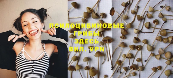 мяу мяу кристалл Богданович