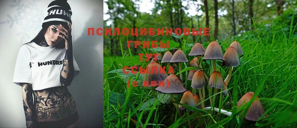 мдма Богородицк