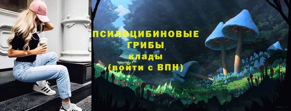 мяу мяу кристалл Богданович