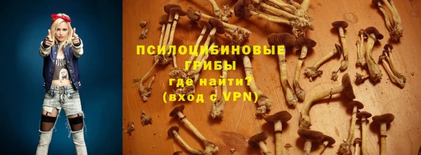 2c-b Богородск
