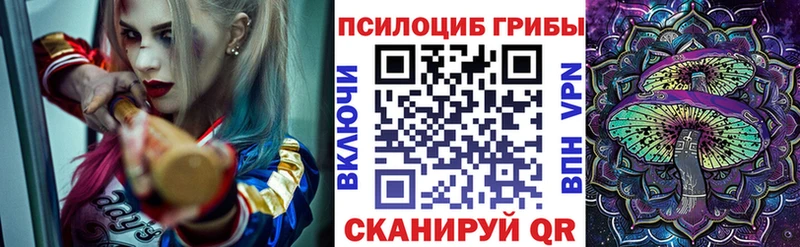 Псилоцибиновые грибы Psilocybe  Пушкино 